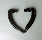 horsehead heart